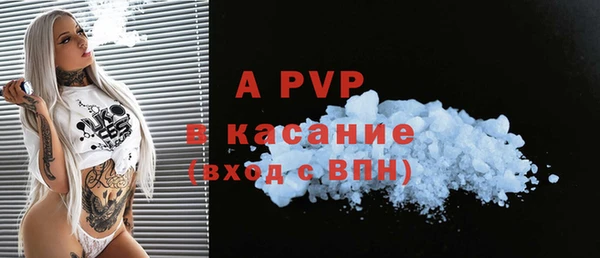 спиды Каменногорск
