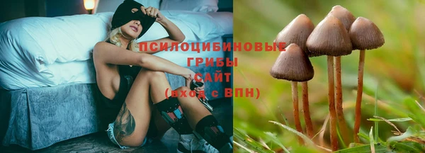 спиды Каменногорск