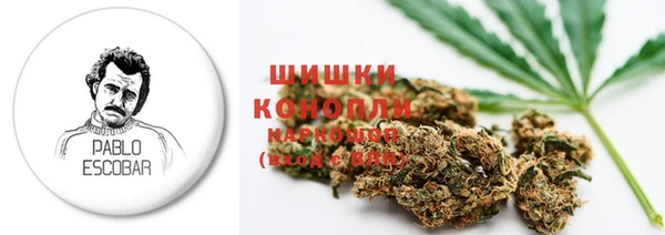 спиды Каменногорск