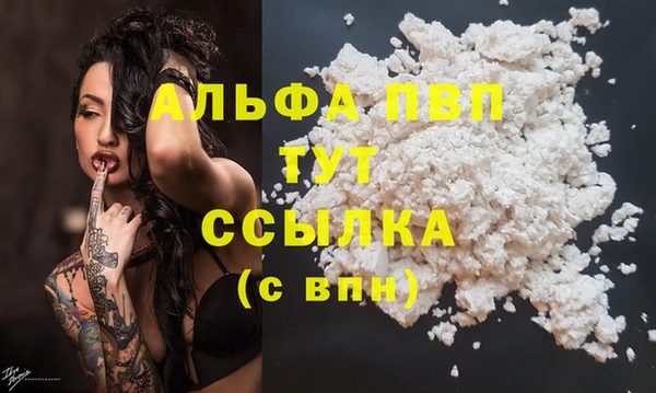 спиды Каменногорск