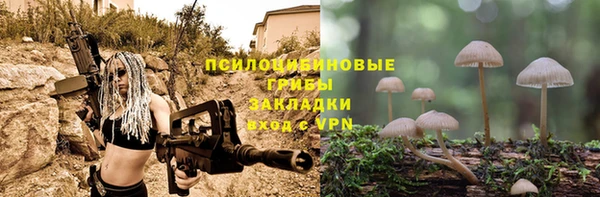 ГАЛЛЮЦИНОГЕННЫЕ ГРИБЫ Краснотурьинск