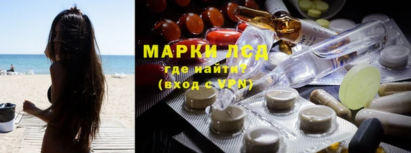 спиды Каменногорск