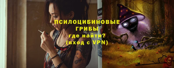 ГАЛЛЮЦИНОГЕННЫЕ ГРИБЫ Краснотурьинск