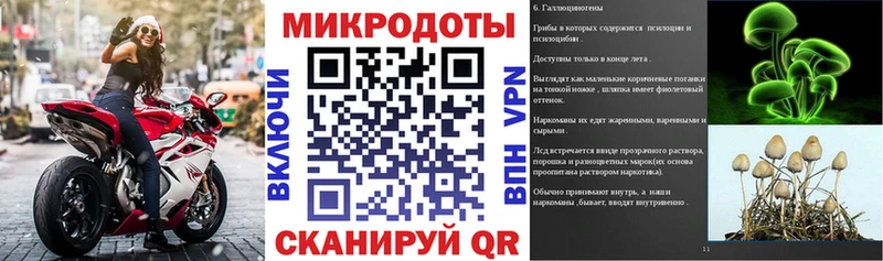 Псилоцибиновые грибы Psilocybe  где купить   shop формула  Саров 