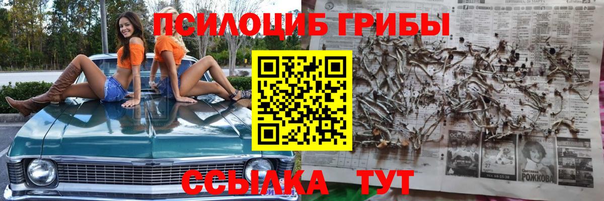 Псилоцибиновые грибы GOLDEN TEACHER  Вход с VPN  Саров 
