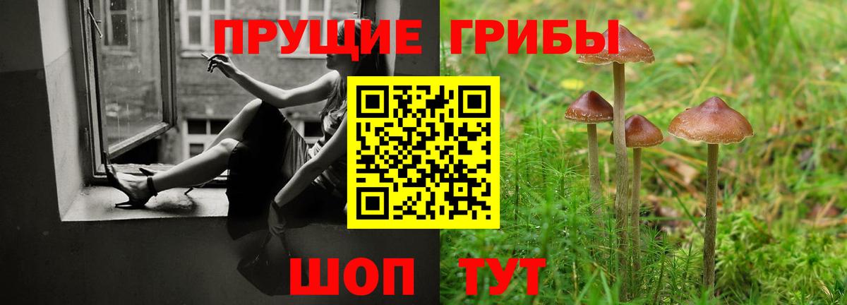 Галлюциногенные грибы MAGIC MUSHROOMS Саров